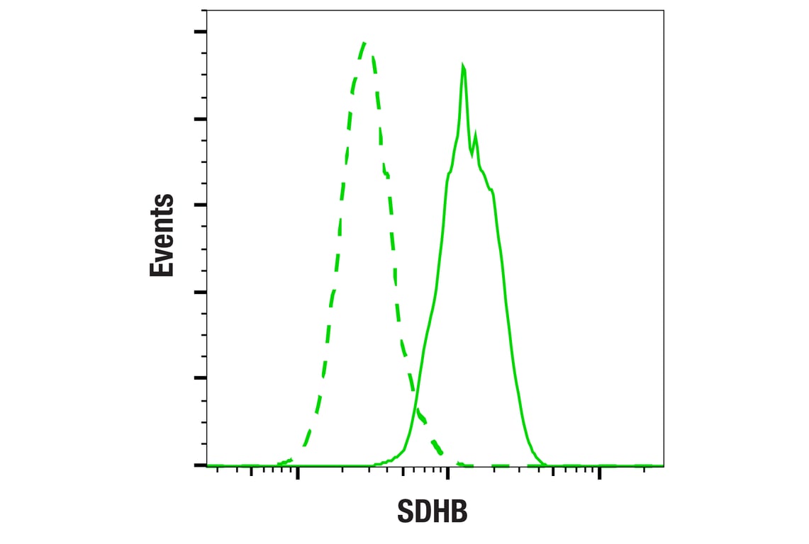 Flow Cytometry Image 2: SDHB (E3H9Z) Rabbit Monoclonal Antibody