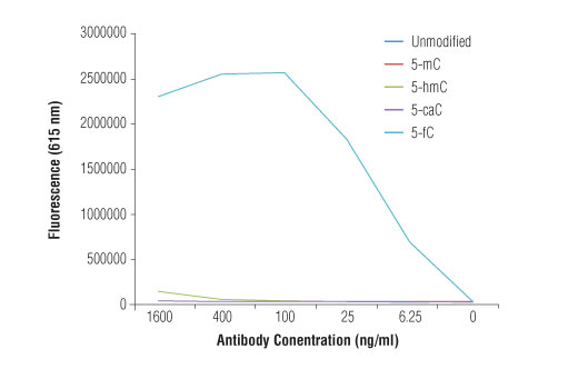 undefined Image 1: 5-Formylcytosine (5-fC) (D5D4K) Rabbit Monoclonal Antibody
