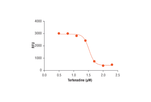 undefined Image 4: Cellular Glutathione Detection Assay Kit