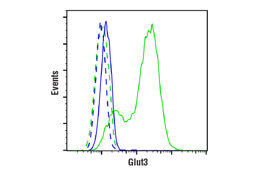 Flow Cytometry Image 1: Glut3 (E7M7V) Rabbit Monoclonal Antibody