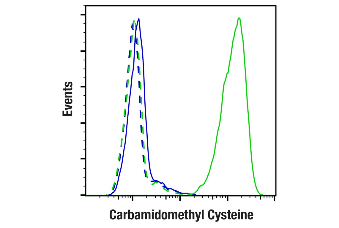 Flow Cytometry Image 1: Carbamidomethyl Cysteine (F3T7J) Rabbit Monoclonal Antibody