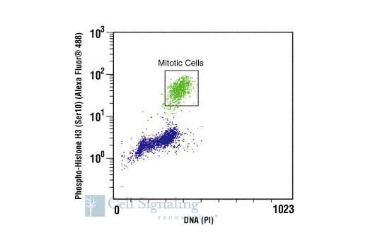 Flow Cytometry Image 1: Phospho-Histone H3 (Ser10) Antibody (Alexa Fluor<sup>®</sup> 488 Conjugate)
