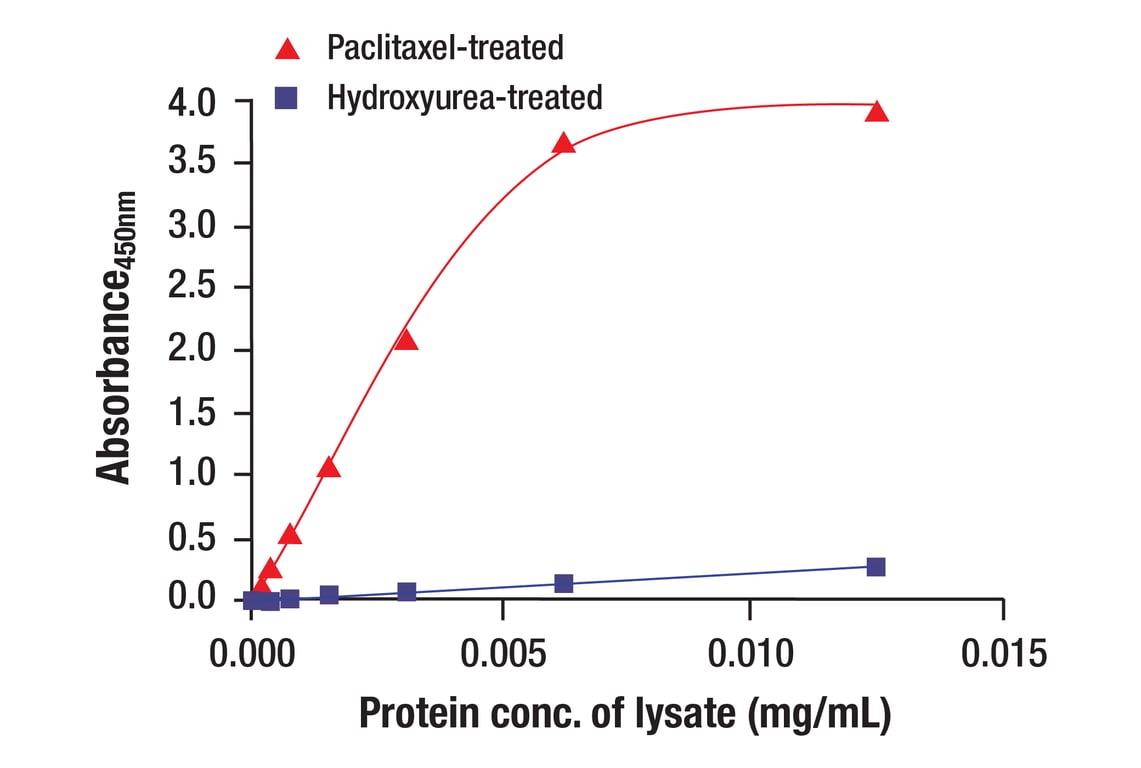 ELISA and/or ELISA-like Assays Image 4: Vimentin (D21H3) Rabbit Monoclonal Antibody (BSA and Azide Free)