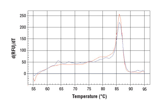 undefined Image 1: SimpleChIP<sup>®</sup> Human RNU2-1 Promoter Primers