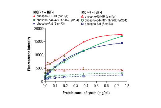 undefined Image 4: PathScan<sup>®</sup> RTK Signaling Antibody Array Kit (Fluorescent Readout)