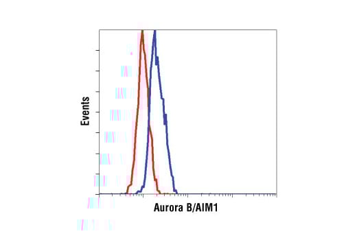 undefined Image 9: Aurora Antibody Sampler Kit