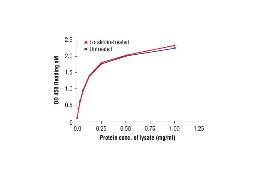 ELISA Image 2: PathScan<sup>®</sup> Total beta-Catenin Sandwich ELISA Kit