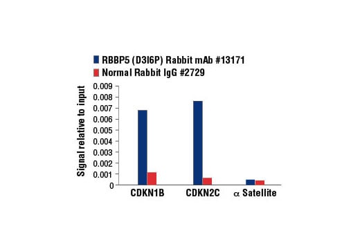 undefined Image 21: Lysine Methyltransferase Antibody Sampler Kit