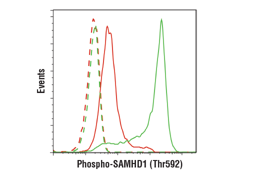 undefined Image 30: Host Cell Viral Restriction Factor Antibody Sampler Kit