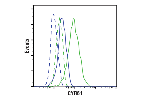 Flow Cytometry Image 1: CYR61 (D4H5D) Rabbit Monoclonal Antibody (BSA and Azide Free)