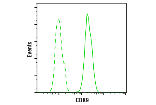 Flow Cytometry Image 1: CDK9 (C12F7) Rabbit Monoclonal Antibody (BSA and Azide Free)