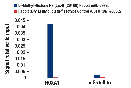 CUT & RUN Image 3: Di-Methyl-Histone H3 (Lys4) (C64G9) Rabbit Monoclonal Antibody