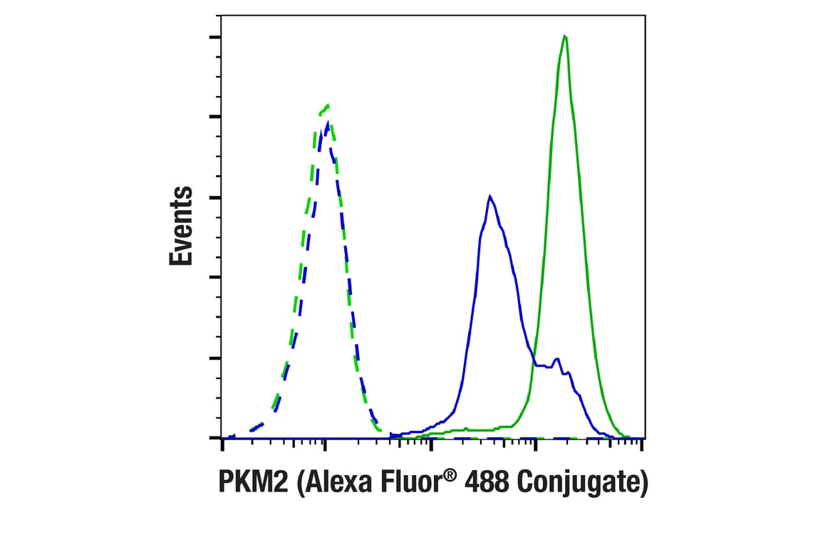 Flow Cytometry Image 1: PKM2 (D78A4) Rabbit Monoclonal Antibody (Alexa Fluor<sup>®</sup> 488 Conjugate)