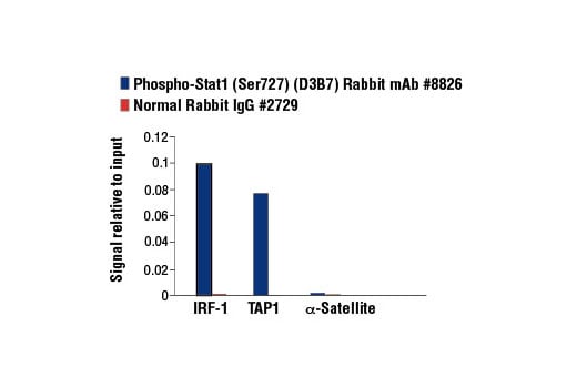 Phospho-Stat1 (Ser727) (D3B7) Rabbit mAb | Cell Signaling Phospho-Stat1 (Ser727) (D3B7) Rabbit mAb | Cell Signaling