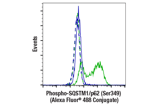 Flow Cytometry Image 1: Phospho-SQSTM1/p62 (Ser349) (E7M1A) Rabbit Monoclonal Antibody (Alexa Fluor<sup>®</sup> 488 Conjugate)