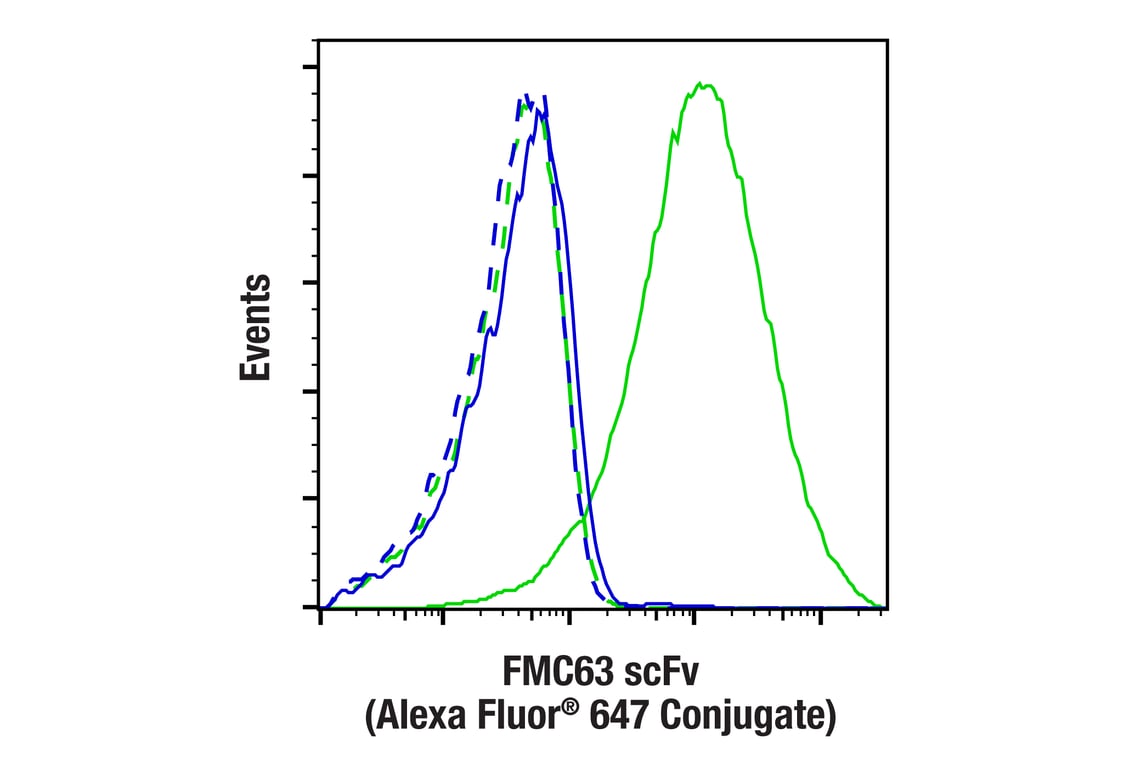 FMC63 scFv (F2Q8G) Rabbit Monoclonal Antibody (Alexa Fluor® 647