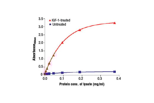 ELISA Image 2: PathScan<sup>®</sup> Phospho-p70 S6 Kinase (Thr389) Sandwich ELISA Kit