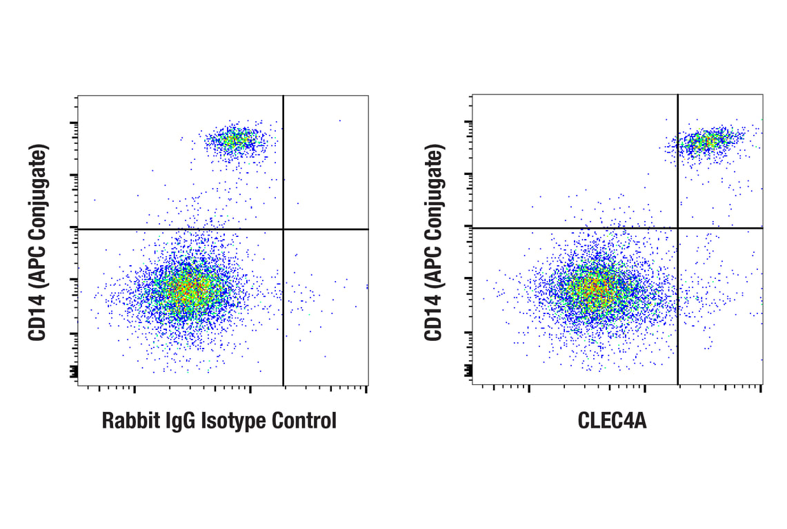 Flow Cytometry Image 1: CLEC4A (F2X3I) Rabbit Monoclonal Antibody