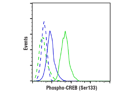 Flow Cytometry Image 1: Phospho-CREB (Ser133) (87G3) Rabbit Monoclonal Antibody (BSA and Azide Free)