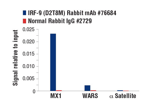 Chromatin Immunoprecipitation Image 1: IRF-9 (D2T8M) Rabbit Monoclonal Antibody