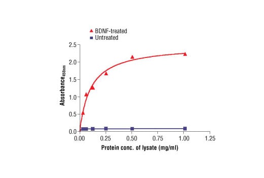 ELISA Image 2: PathScan<sup>®</sup> Phospho-TrkB (Tyr516) Sandwich ELISA Kit