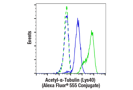 Acetyl-α-Tubulin (Lys40) (D20G3) XP® Rabbit mAb (Alexa Fluor Acetyl-α-Tubulin (Lys40) (D20G3) XP® Rabbit mAb (Alexa Fluor