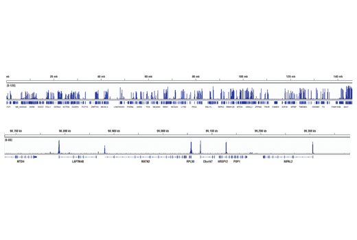 Chromatin Immunoprecipitation Image 2: Tri-Methyl-Histone H3 (Lys4) (C42D8) Rabbit Monoclonal Antibody