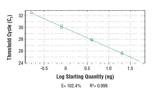 Chromatin Immunoprecipitation Image 2: SimpleChIP<sup>®</sup> Human MX1 Promoter Primers