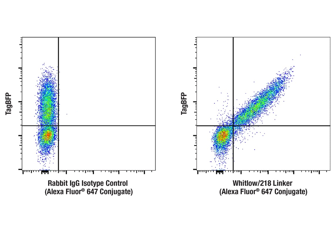 Élisaページ Cygnus Technologies Protein A Mix-N-Go ELISA Kit for