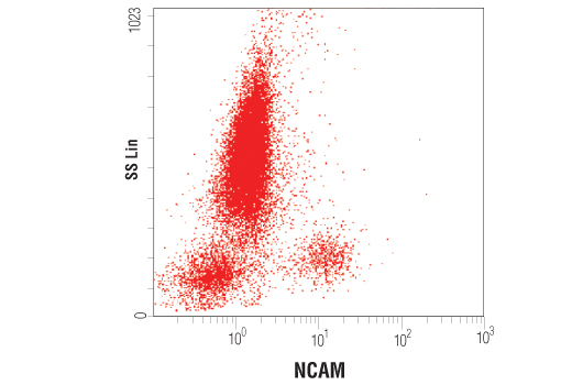 Flow Cytometry Image 1: NCAM1 (CD56) (123C3) Mouse Monoclonal Antibody