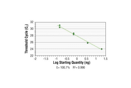 Chromatin Immunoprecipitation Image 2: SimpleChIP<sup>®</sup> Human CaMK2D Intron 3 Primers