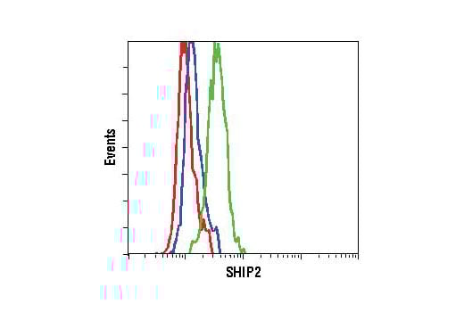 Flow Cytometry Image 1: Phospho-SHIP2 (Tyr1135) (D33C6) Rabbit Monoclonal Antibody