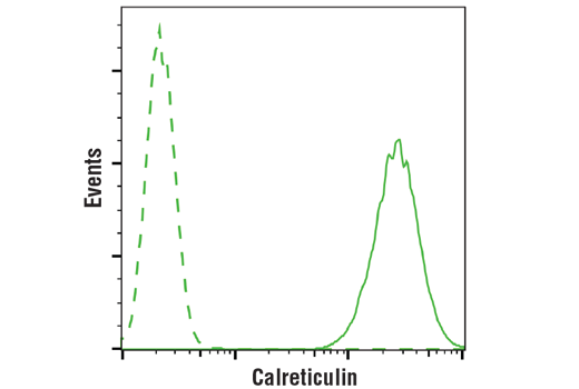 undefined Image 21: MHC Class I Antigen Processing and Presentation Antibody Sampler Kit