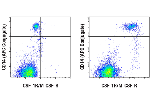 Flow Cytometry Image 1: CSF-1R/M-CSF-R (D3O9X) Rabbit Monoclonal Antibody