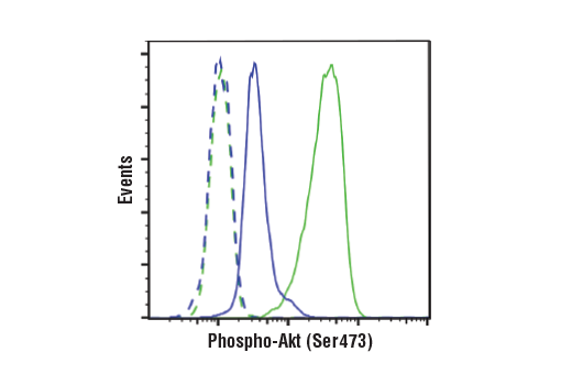 Flow Cytometry Image 1: Phospho-Akt (Ser473) (D9E) Rabbit Monoclonal Antibody