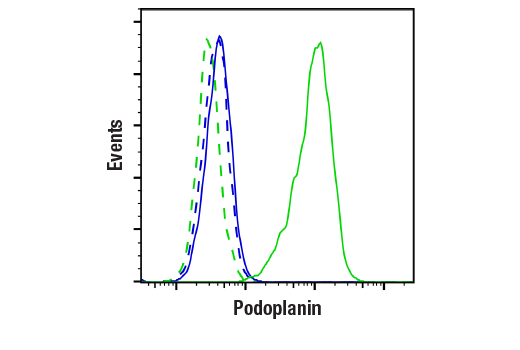 Flow Cytometry Image 1: Podoplanin (LpMab-12) Mouse Monoclonal Antibody
