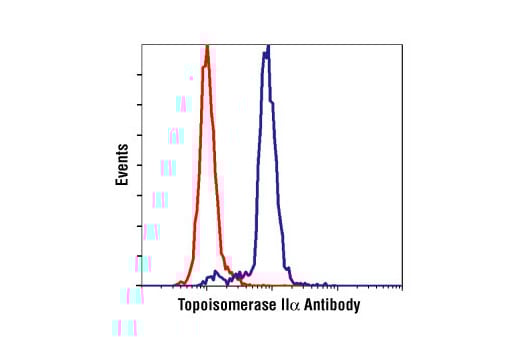 Flow Cytometry Image 1: Topoisomerase II alpha Antibody