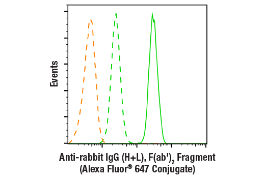 undefined Image 2: Anti-rabbit IgG (H+L), F(ab')<sub>2</sub> Fragment (Alexa Fluor<sup>®</sup> 647 Conjugate)