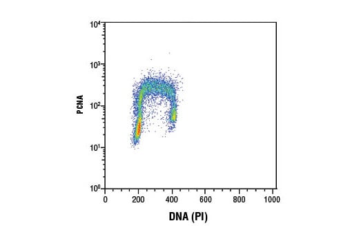 Flow Cytometry Image 1: PCNA (D3H8P) Rabbit Monoclonal Antibody