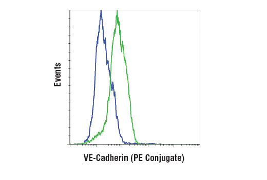 Flow Cytometry Image 1: VE-Cadherin (D87F2) XP<sup>®</sup> Rabbit mAb (PE Conjugate)