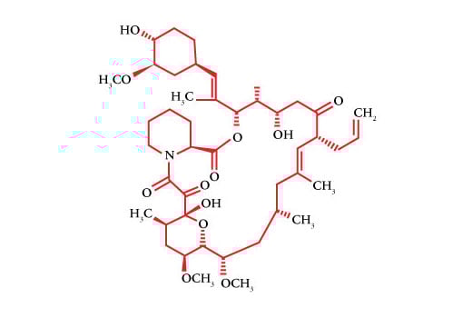 undefined Image 2: FK-506