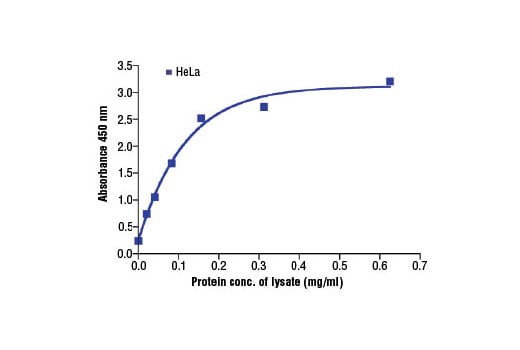 ELISA Image 2: PathScan<sup>®</sup> Total Survivin Sandwich ELISA Kit