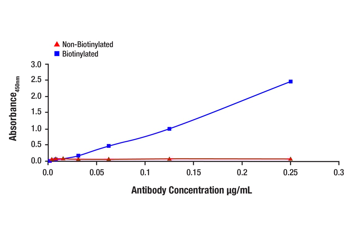 E Image 1: Phospho-Ubiquitin (Ser65) (E2J6T) Rabbit Monoclonal Antibody (Biotinylated)