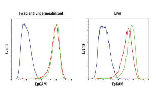 Flow Cytometry Image 1: EpCAM (D4K8R) Rabbit Monoclonal Antibody
