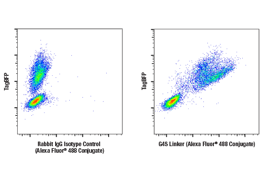 Flow Cytometry Image 1: G4S Linker (E7O2V) Rabbit Monoclonal Antibody (Alexa Fluor<sup>®</sup> 488 Conjugate)