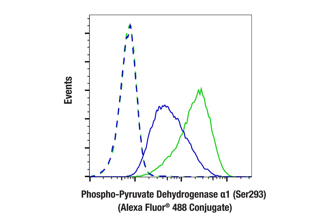 Flow Cytometry Image 1: Phospho-Pyruvate Dehydrogenase alpha1 (Ser293) (E4V9L) Rabbit Monoclonal Antibody (Alexa Fluor<sup>®</sup> 488 Conjugate)