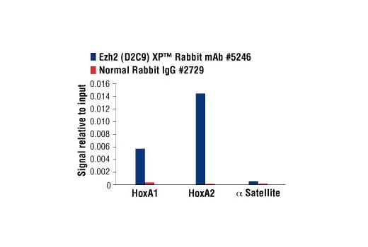 Chromatin Immunoprecipitation Image 3: Ezh2 (D2C9) Rabbit Monoclonal Antibody
