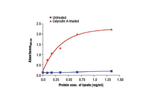 ELISA Image 2: PathScan<sup>®</sup> Phospho-mTOR (Ser2481) Sandwich ELISA Kit