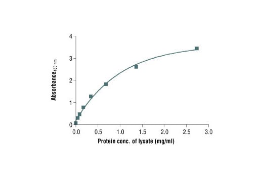 ELISA Image 2: PathScan<sup>®</sup> Total p21 Waf1/Cip1 Sandwich ELISA Kit