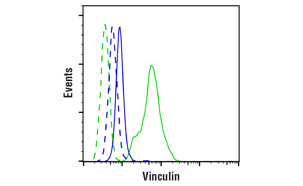 Flow Cytometry Image 1: Vinculin (E1E9V) Rabbit Monoclonal Antibody